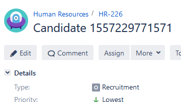 Náhled náborového procesu v systému Jira