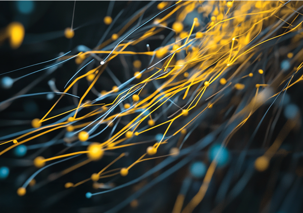 Jak využívat data pro kampaně? Vlastní databáze zaručí kvalitu, trendem se stává jejich outsourcing