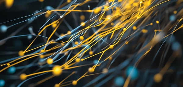 Ako využívať údaje pre kampane? Vlastná databáza zaručí kvalitu, trendom sa stáva ich outsourcing